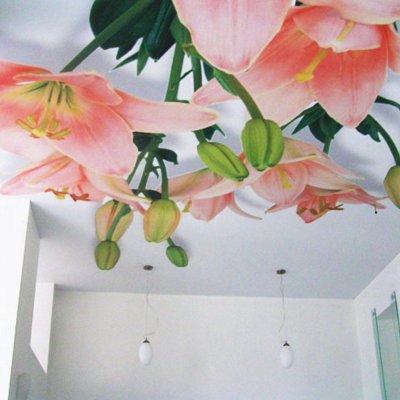 Галерея №kt2u229o