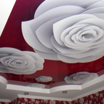 Галерея №kt2u229o