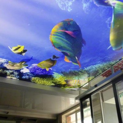 Галерея №kt2u229o